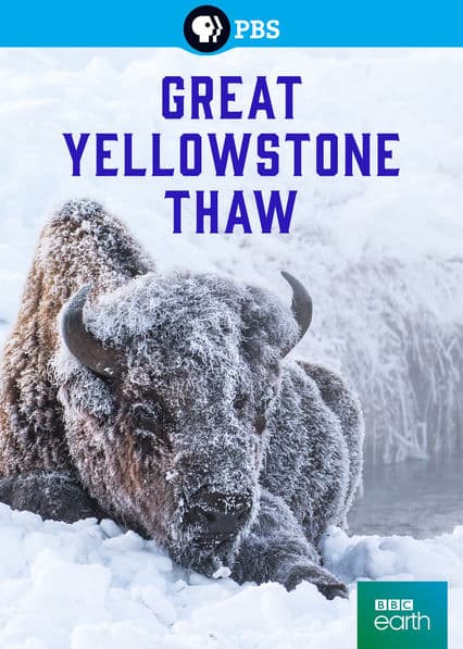 Great Yellowstone Thaw